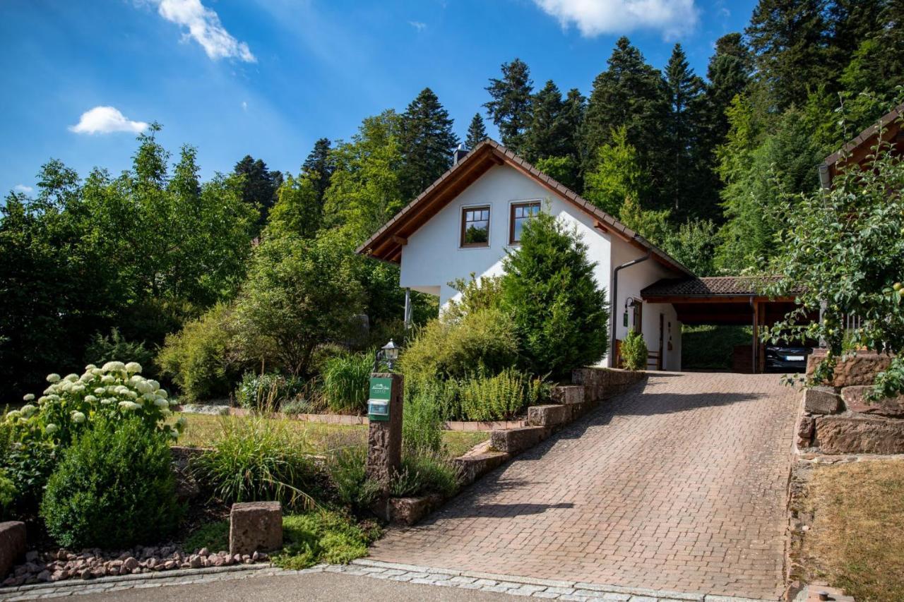 Schwarzwald Chalets Freudenstadt Exterior foto